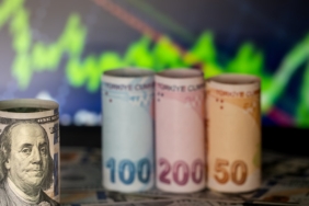 Küresel Piyasada Dolar Gerilerken Türk Lirası Karşısında 49,39 ile Rekor Kırdı