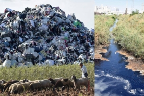 Türkiye'nin Plastik Atık İthalatı ve Akdeniz Havzasındaki Sanayi Kaynaklı Kirlilik Artıyor